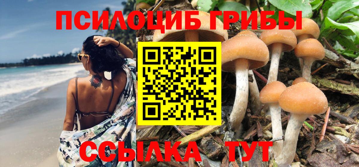 Галлюциногенные грибы MAGIC MUSHROOMS  Вход с VPN  купить наркотик  Елабуга 