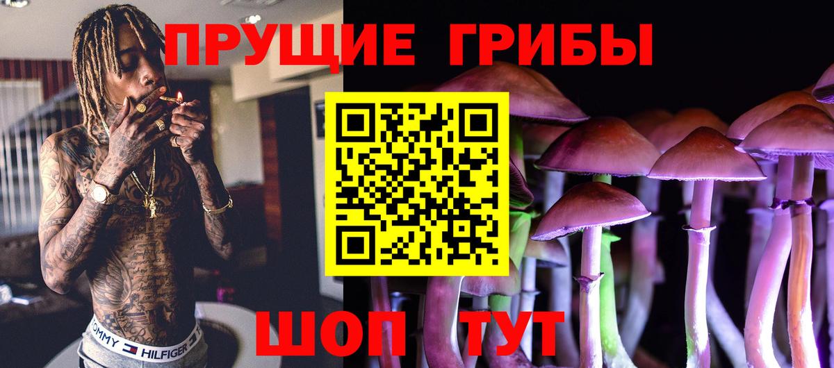 Галлюциногенные грибы Psilocybine cubensis Елабуга